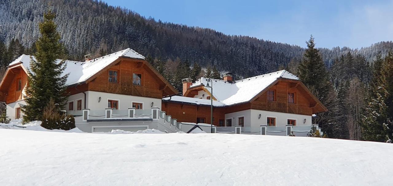 Ferienhaus Alpenblick Krakauschatten 외부 사진